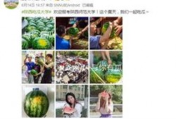 陕西免费吃瓜大学,免费吃瓜活动温暖校园