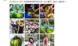 陕西免费吃瓜大学,免费吃瓜活动温暖校园