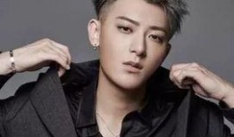 娱乐吃瓜社黄子韬,娱乐圈的“吃瓜”焦点，揭秘他的星途历程
