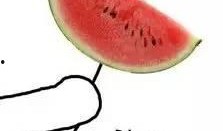 瓜州免费吃瓜地图片,夏日消暑新地标