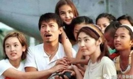 刘德华爆料记者视频播放,揭秘娱乐圈幕后真相