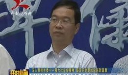 故宫院长爆料新闻视频下载,新闻视频背后的精彩瞬间