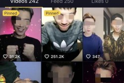 男网红被爆料视频大全集,真相与争议交织