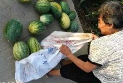 沛县吃瓜最新事件爆料,揭秘背后真相与争议