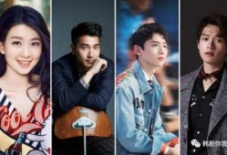 圈内爆料白敬亭视频在线观看,独家解析幕后真相