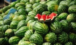 拉萨网红吃瓜事件真相视频