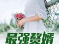 赘婿吃瓜小说免费阅读,吃瓜群众眼中的逆袭人生