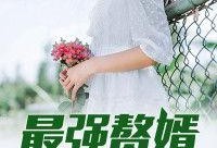 赘婿吃瓜小说免费阅读,吃瓜群众眼中的逆袭人生