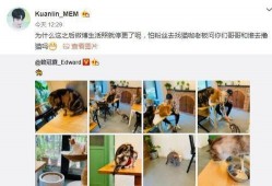 爆料赖冠霖女友视频,女友视频引发网友热议