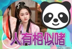 娱乐先锋君吃瓜爆料小说,吃瓜爆料小说背后的娱乐圈风云