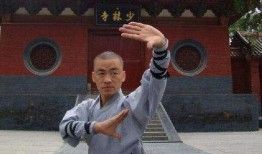 圈内爆料武打明星,武打明星背后的传奇故事