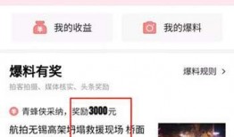 张家港爆料头条网站最新,揭秘城市热点事件背后的真相！