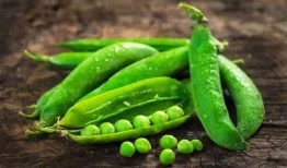 娱乐吃瓜又吃豆,吃瓜吃豆，揭秘娱乐圈幕后故事