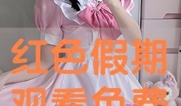 红色假期在线观看视频,重温革命岁月，共筑民族复兴梦