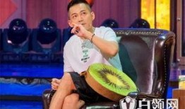 苏醒粉丝爆料视频网,揭秘偶像幕后故事