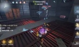 第五人格烟花爆料视频,第五人格全新爆料视频揭秘