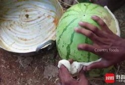 拉萨网红吃瓜事件真相视频