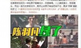 网红爆料出轨事件视频,真相背后引发网友热议