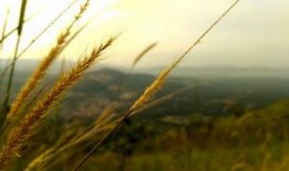 风景最新爆料视频大全高清