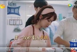 爆料林大厨杨紫视频播放,厨艺与美貌并存