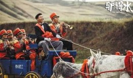 电影驴得水在线观看,荒诞喜剧中的教育反思与人性探讨