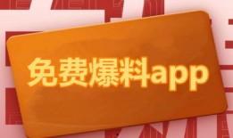 热点爆料收益视频,视频背后的惊人收益秘密