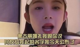 赵樱子被爆料视频下载,真相与争议