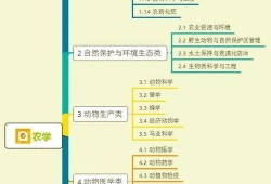 雪糕阿姨爆料视频大全集,揭秘幕后真相与感人瞬间