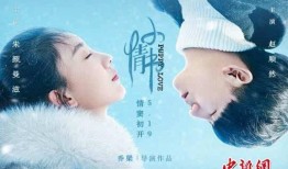 小情书电影在线观看,浪漫邂逅，青春回忆的甜蜜旋律