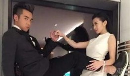 郑恺爆料静姐视频播放全集,一场视觉与情感的盛宴