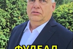 外媒爆料武契奇了吗视频,外媒爆料揭示神秘内容