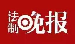 蓬勃新闻爆料热线,揭秘幕后故事，聚焦社会热点