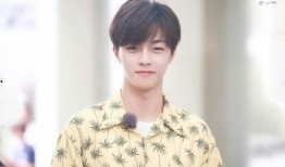 娱乐圈爆料客陈立农,揭秘明星背后的故事