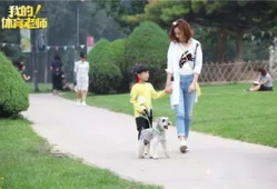 我的体育老师爆料视频,运动场上的真实故事