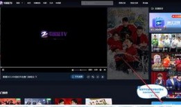 瓶子爆料回放视频完整版,揭秘回放视频完整版背后的惊人真相