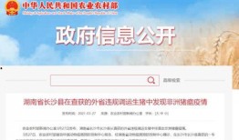 猪瘟最新爆料新闻联播,猪瘟疫情进展及防控措施详解