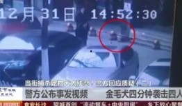 长沙事件爆料视频最新2020,揭秘背后真相与争议