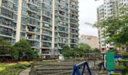 龙兴嘉苑爆料案件真相视频