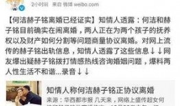 网友爆料离婚案件最新