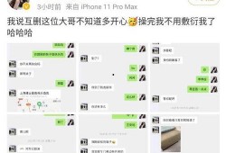吃瓜网红聊天记录免费,一场娱乐圈幕后风波的幕后真相