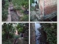 成都养猪场爆料视频大全,揭秘养殖场真实内幕
