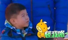 娱乐圈爆料小宋仲基,揭秘明星背后的故事