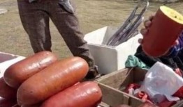 街边火腿肠爆料视频,揭秘食品安全背后的真相