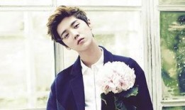 圈内爆料鹿晗王俊凯图片