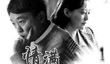 电视剧情满四合院在线观看,温情岁月里的爱恨情仇