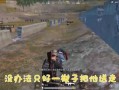 吃鸡爆料视频发现秘密