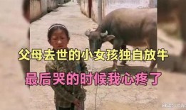 哭泣的牛在线观看,哭泣的牛感人故事在线观看