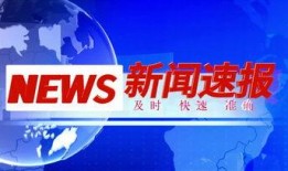 新闻爆料饭店视频素材大全,揭秘餐饮行业幕后瞬间