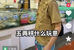 辛吉飞爆料毛蛋视频,揭秘食品行业惊人真相
