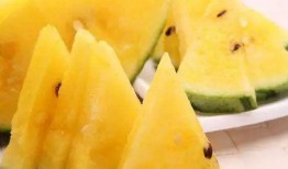 网红瓜去哪里吃最好呢,寻味最佳美食之地